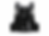 Black Nike hydration vest with two soft flasks on a white background, shown front view with logo and straps.