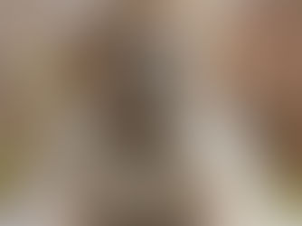 Golden retriever puppy with a brown collar and tag лежing on a porch, looking calmly at the camera with soft focus background