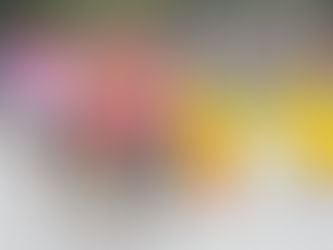 Participants in colourful costumes and inflatable duck suits at Bay to Breakers in San Francisco. Crowd and trees in the background.