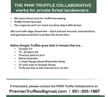 PNW Truffle Collab380x345.jpg