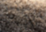 Sophie coat.jpg