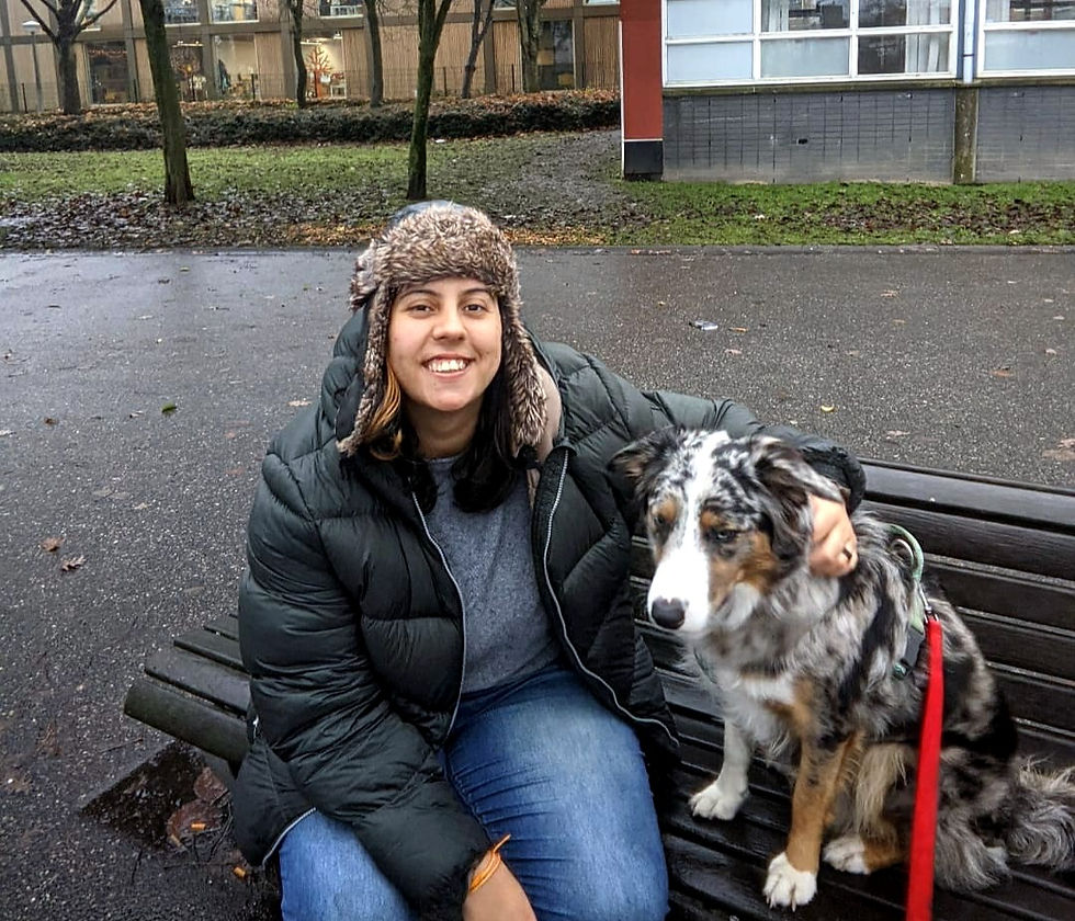 Dois cachorros deitados no sofá. Família feliz. Petsitters.