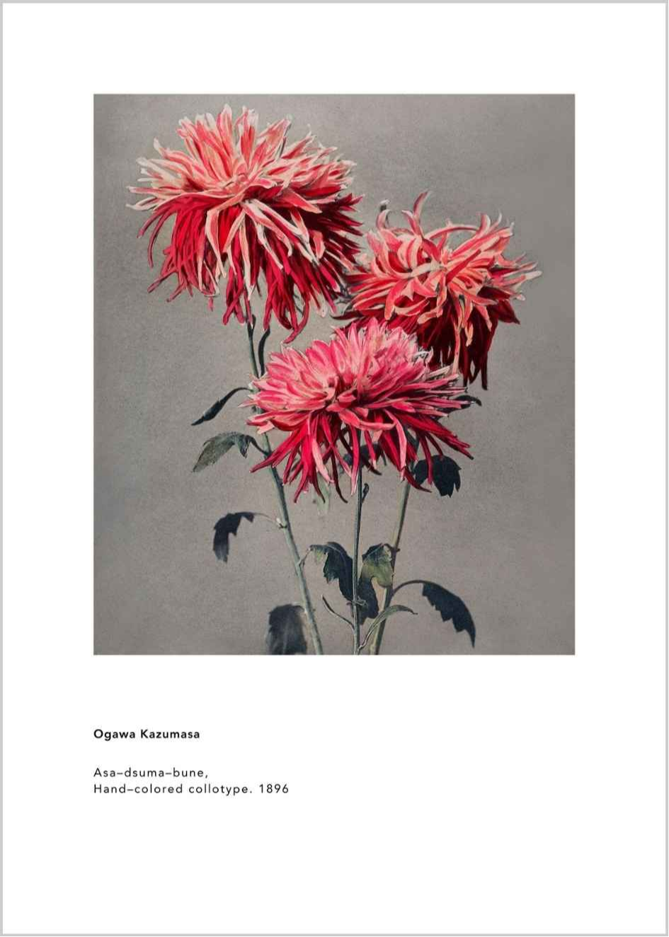 Kazumasa Ogawa | Asa–dsuma–bune (1896) N2