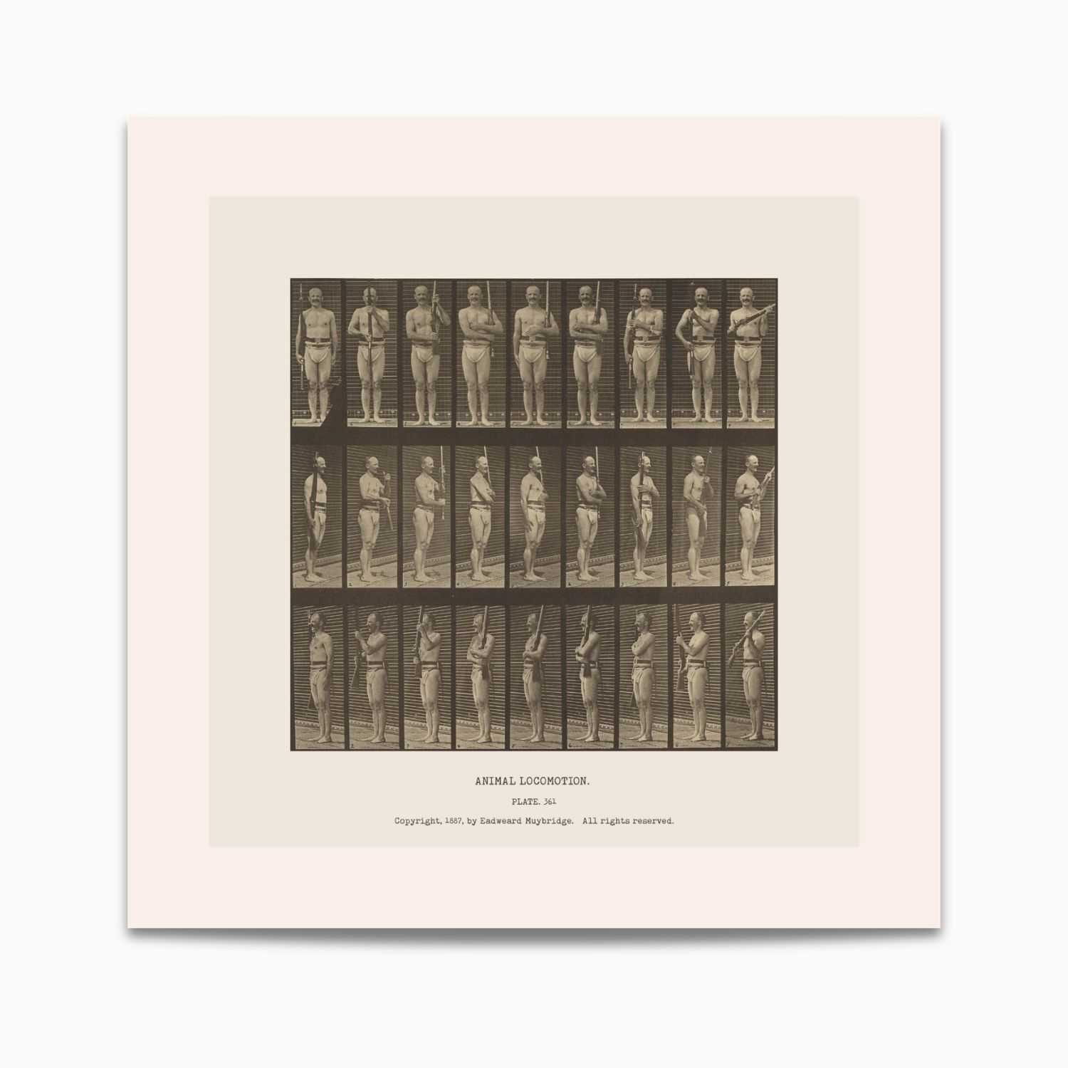 Eadweard Muybridge | Animal Locomotion (1887)