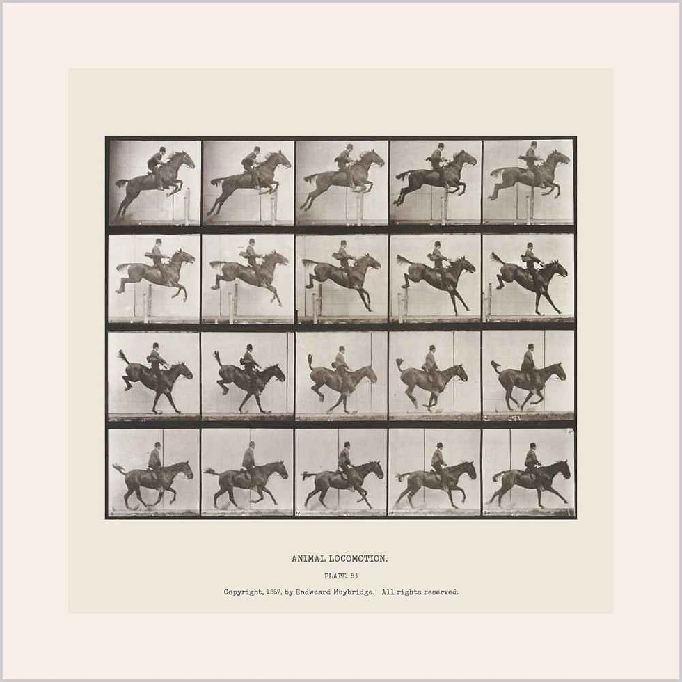 Eadweard Muybridge | Jumping a Hurdle (1887)