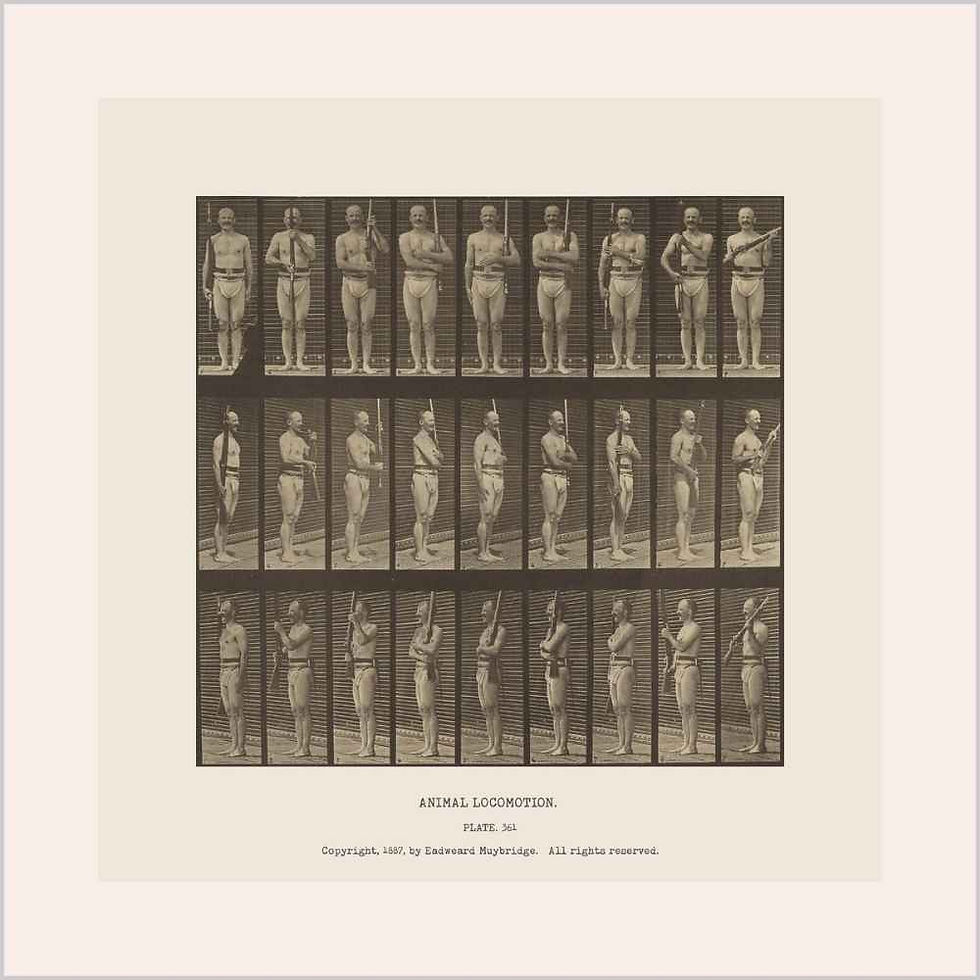 Eadweard Muybridge | Animal Locomotion (1887)