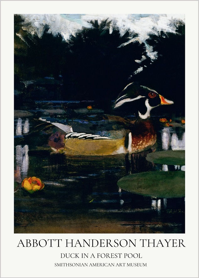 Abbott Handerson Thayer | Duck in a Forest Pool (1905 - 1909) No: 2