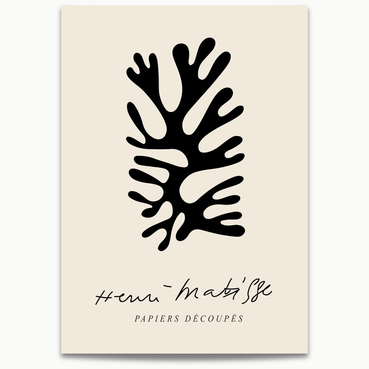 Matisse XIX