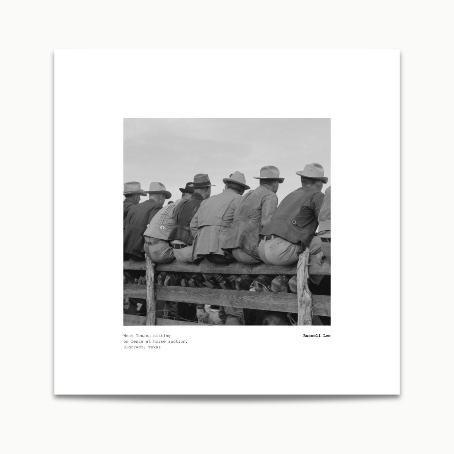 Russell Lee | West Texans sitting on fence at horse auction, Eldorado, Texas