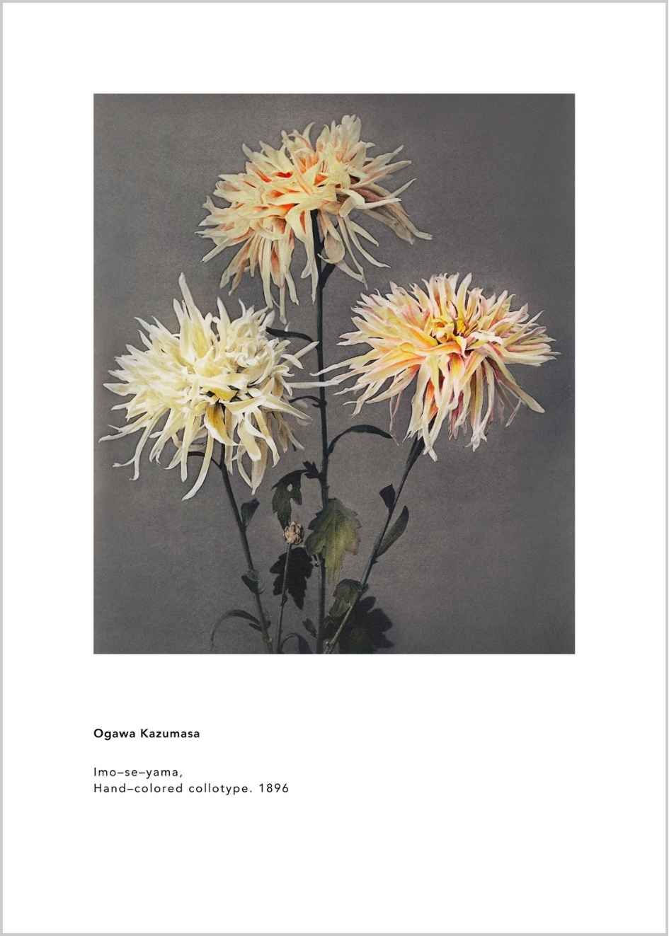 Küçük resim: Üçlü Set No.008