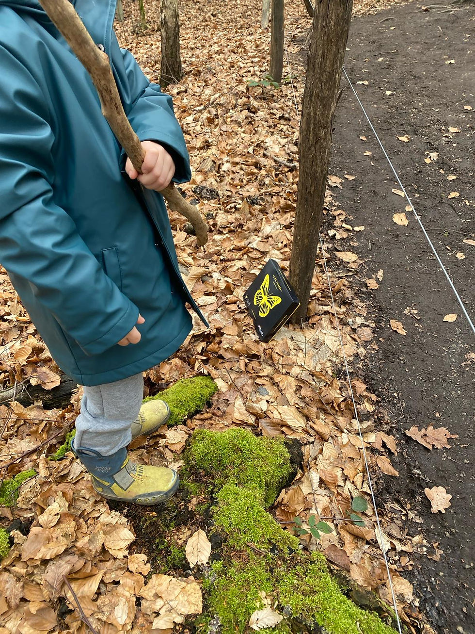 Thumbnail: Vlieg, Vlinder!