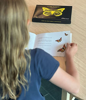 Enfant lisantLe livre de Vole Papillon! à un bureau.