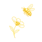 bloem met bij zonder achtergrond.png