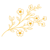 bloemen 1.png