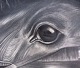 Grey-Matter_2001-1.jpg
