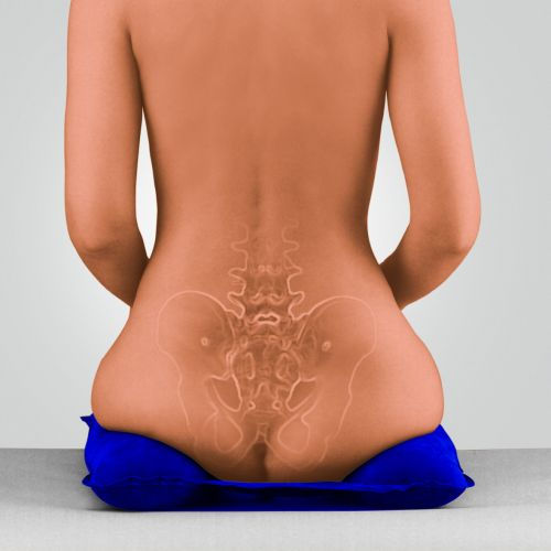 BORT Coussin de siège pour une assise sans pression Codyn®