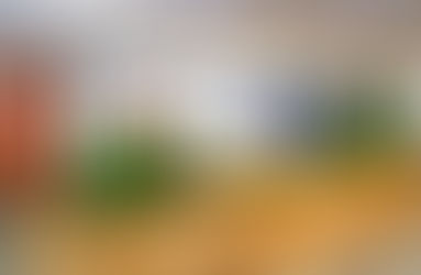 YAPAY SAKSI TASARIMLARI