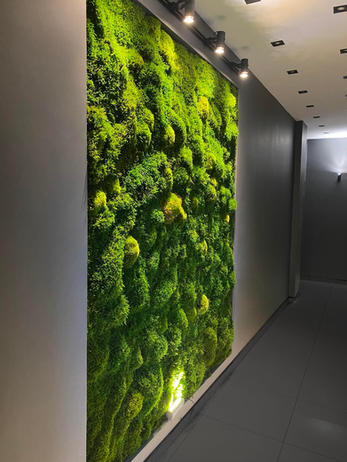vertical-garden.jpeg