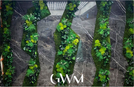 ADVANTAGES OF MOSS WALLS