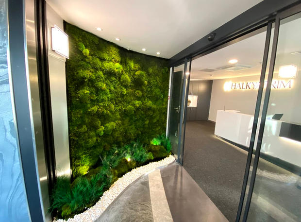 wall-moss-vertical-garden.jpeg