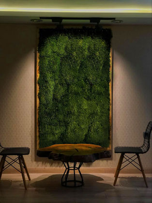 GWM Peyzaj, dikey bahçe, dikey bahçe ballmoss, mumyalanmış yosun duvar dikey bahçe, mumyalanmış yosun duvar, dikey duvar, dikey bahçe yosun duvar tasarım, dikey bahçe ball moss, mumyalanmıs yosun tablo, yosun dikey bahçe, yosun duvar, yosun dikey duvar, yosun dikey bahçe kopya, yosun tablo ball moss, yosun duvar fuar dikey bahçe, yosun duvar dikey bahçe tuğla, yosun duvar ball moss, yosun duvar dikey bahçe, hitit koleksiyonu
