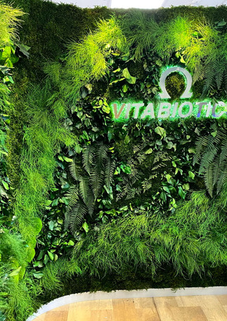 preserved-moss-wall-moss-vertical-garden