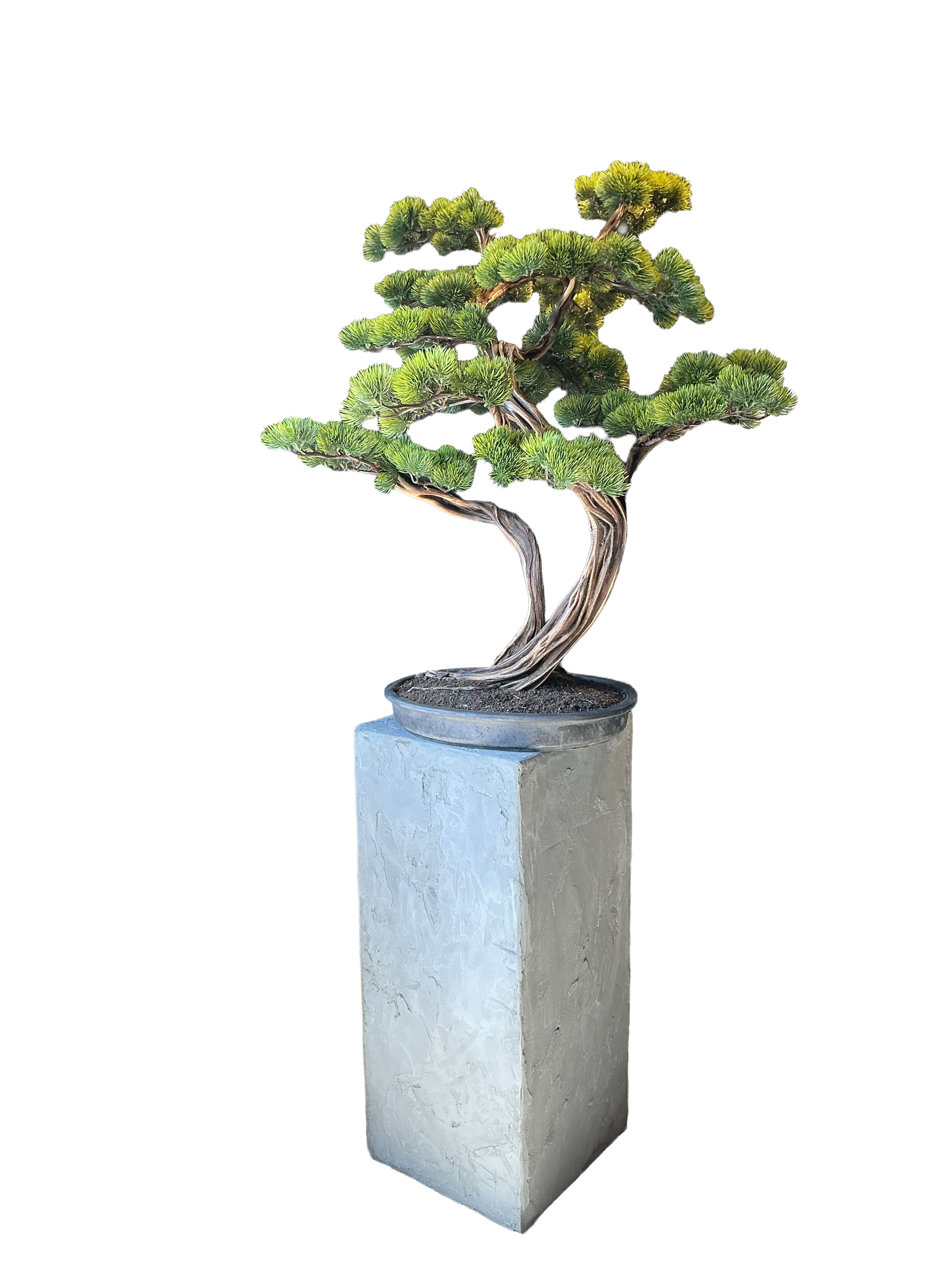 Yapay Bonsai