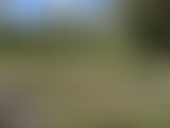 Primeiro Lab Agrofloresta com Namastê