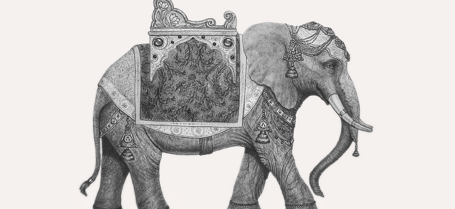 akira_amani_banner