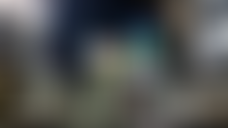 Japan in the time of coronavirus: from the Diamond Princess case to the state of emergency