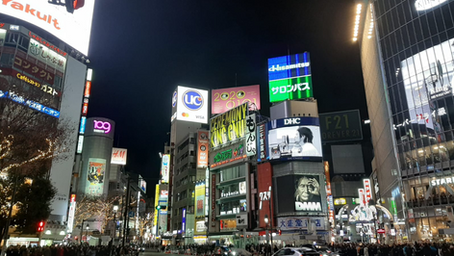 Japan in the time of coronavirus: from the Diamond Princess case to the state of emergency