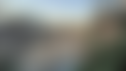 Japón en tiempos de coronavirus: del caso del Diamond Princess al estado de emergencia