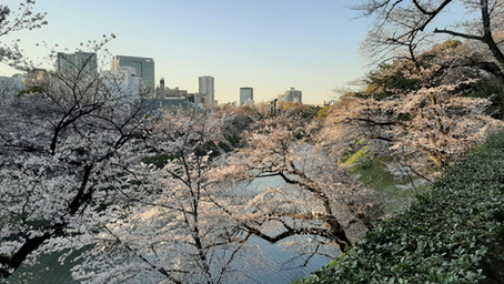 Japón en tiempos de coronavirus: del caso del Diamond Princess al estado de emergencia