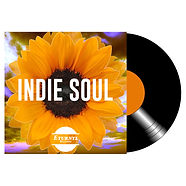 case indie3 (1).jpg
