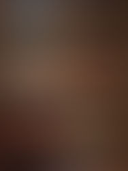 室内階段の色褪せを修繕