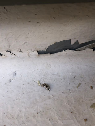 ベランダ防水は、ひび割れにご注意!