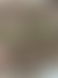 ウッドデッキの新設工程 その①/点検