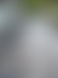 足場解体後のカーポートのパネルの取り付け/塗料を使わないお仕事!