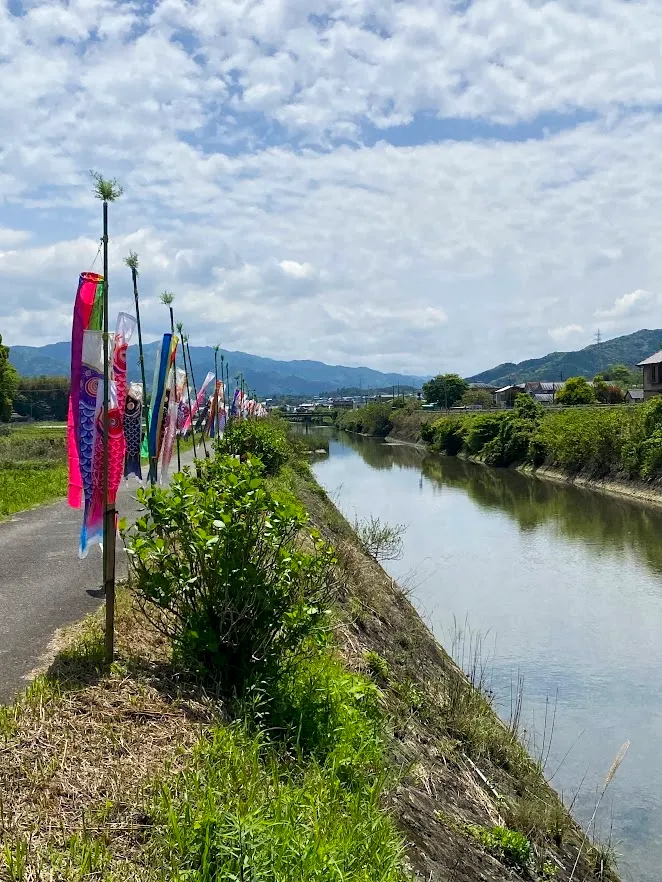 Carp streamer (Koinobori)  in Usuki