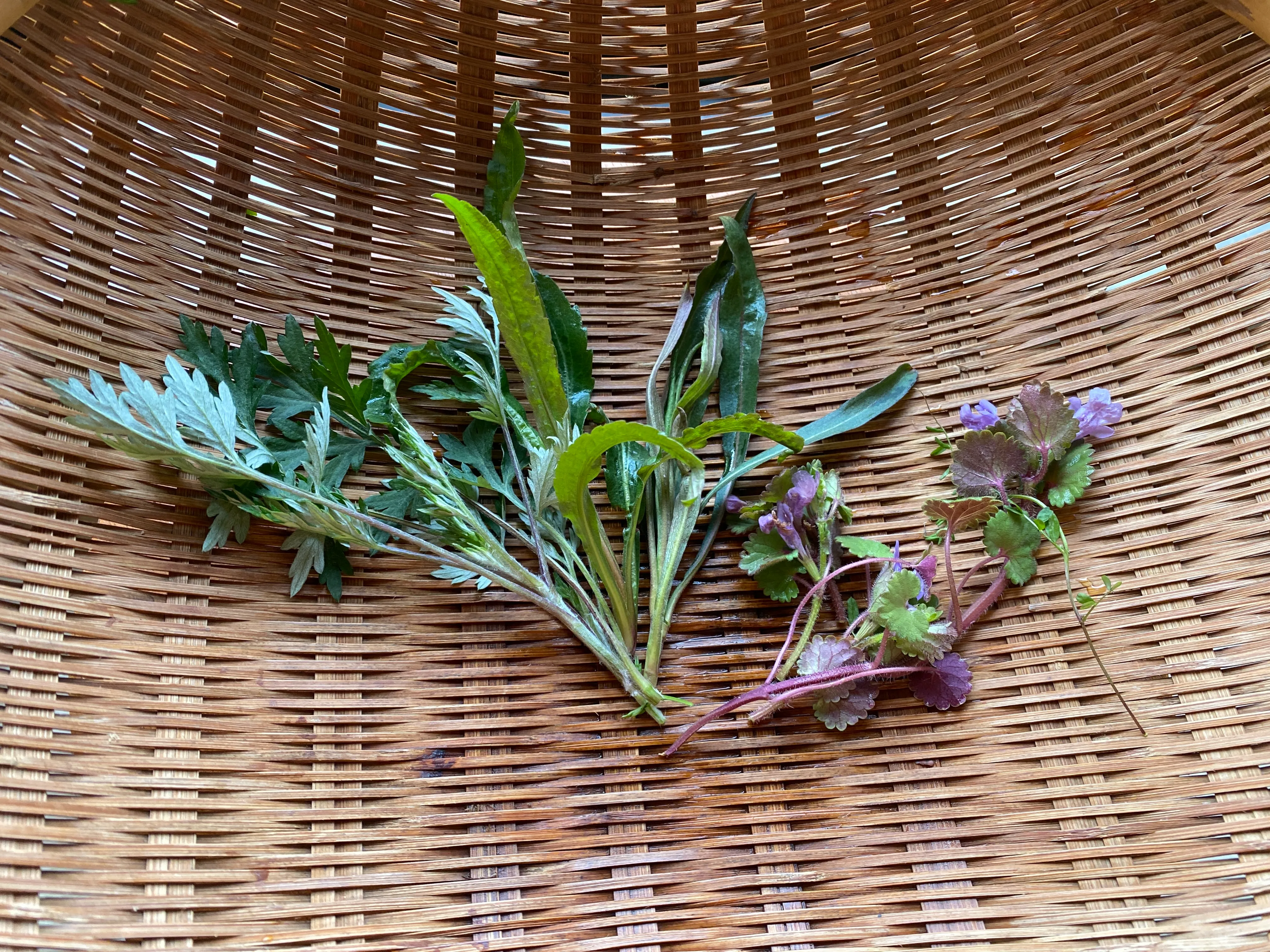 Wild herbs