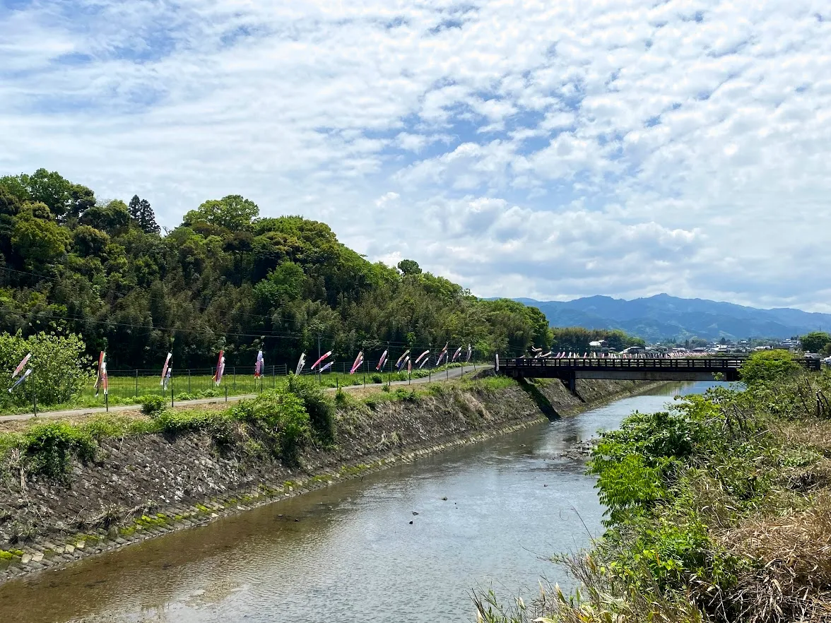 Carp streamer (Koinobori)  in Usuki