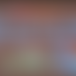 6 Teams Present at Usuki’s New Local Cuisine Grand Prize