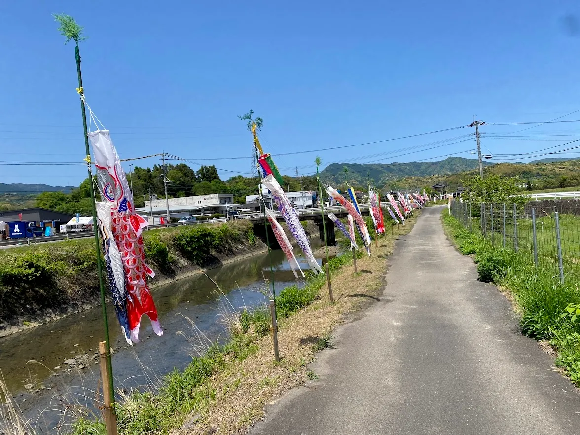 Carp streamer (Koinobori)  in Usuki