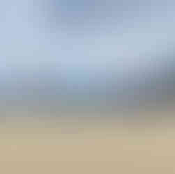 The Usuki Sakura Marathon at Usuki Port Green Park