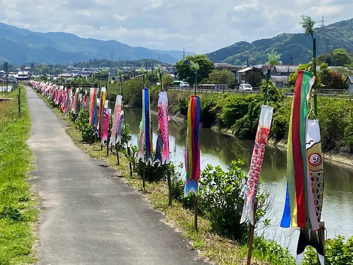 Carp streamer (Koinobori)  in Usuki