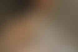 Elvis the cat saying, Com'on take a shower!