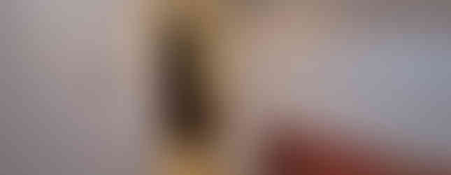 New finished walls, floors, and ceiling with recessed lights and new entry