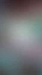 Pot rack above kitchen sink above exterior window