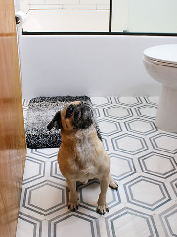 Client's doggo seems to approve of the Simple Industrial Full Bath.