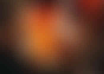 Looking up through glass shelves of built in Bountiful Bourbon Bar by Barrett Home Renovations